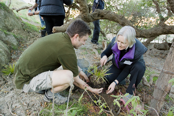 Scott Bartlam and Jenny Steven planting a nikau