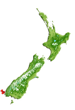 Location of Te Puka-Hereka / Coal Island