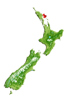 Location of Motu Kaikoura Island