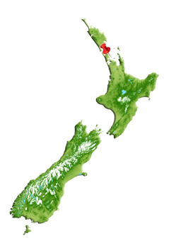 Location of Rangitoto & Motutapu islands