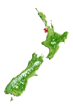 Location of Te Kauri Park Scenic Reserve